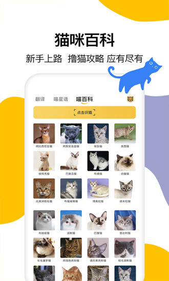 猫语翻译软件免费版下载