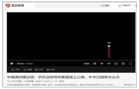 西瓜视频电脑版截图3