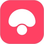 蘑菇街女装最新搭配下载:如何关注喜欢的店铺